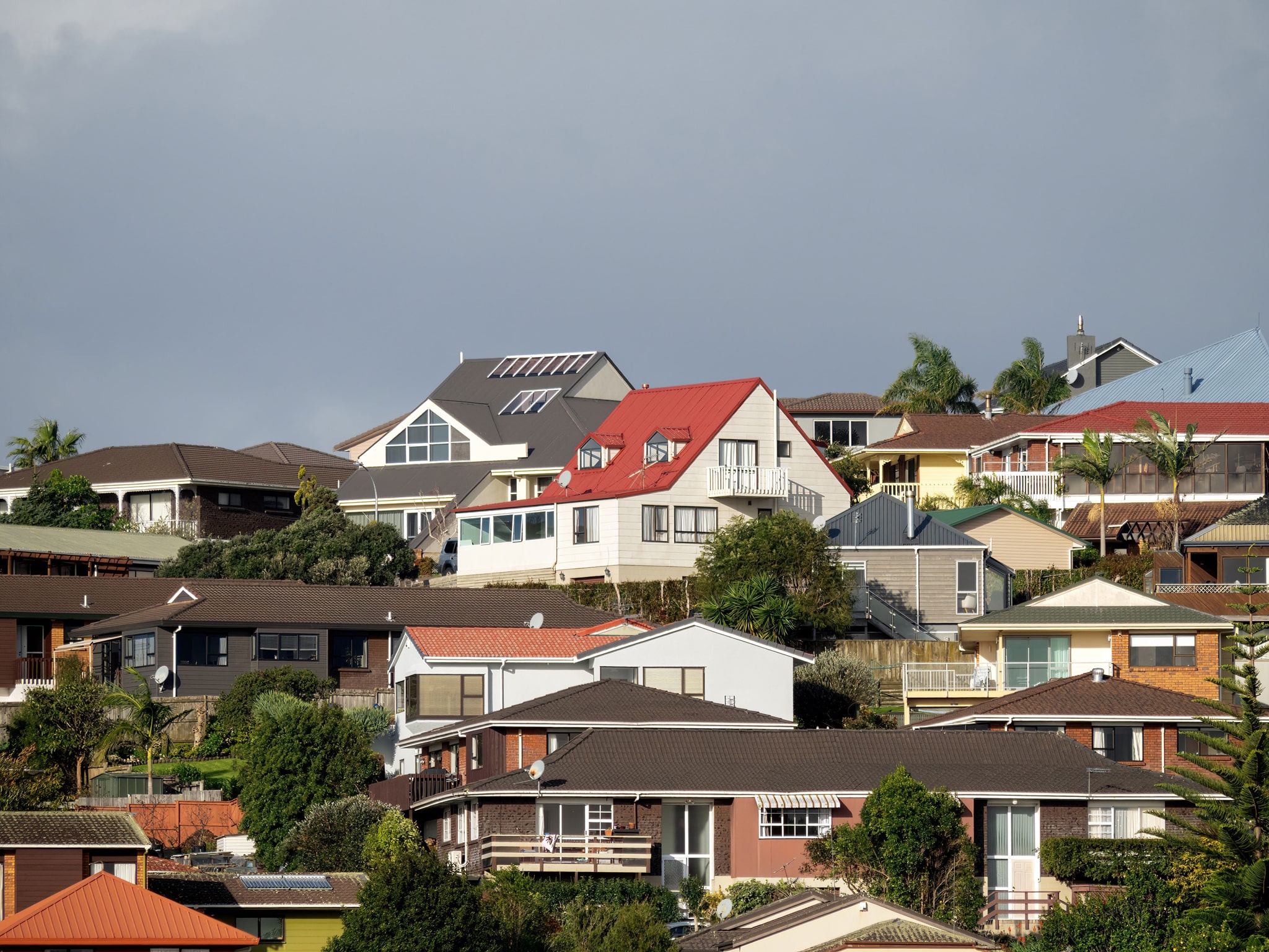 Property Market Trends in New Zealand